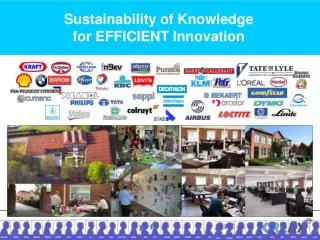 Sustainability of Knowledge for EFFICIENT Innovation