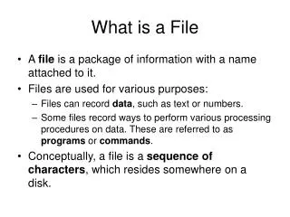 What is a File