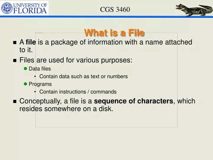 what is a file