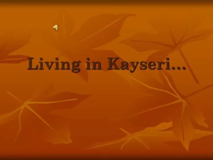 living in kayseri