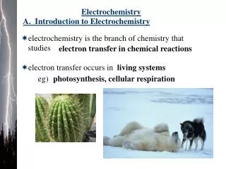 A. Introduction to Electrochemistry