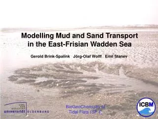 Modellierung von Sedimenttransporten im Wattenmeer