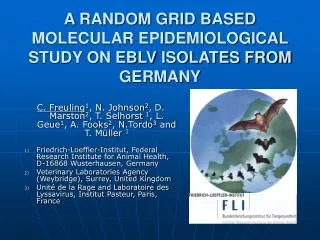 A RANDOM GRID BASED MOLECULAR EPIDEMIOLOGICAL STUDY ON EBLV ISOLATES FROM GERMANY