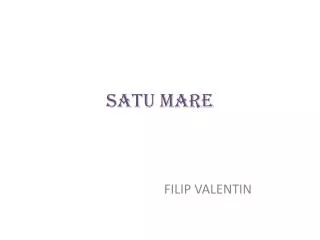 satu mare
