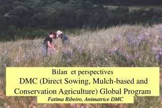 bilan et perspectives dmc direct sowing mulch based and conservation agriculture global program