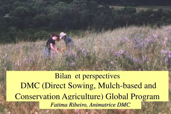 bilan et perspectives dmc direct sowing mulch based and conservation agriculture global program