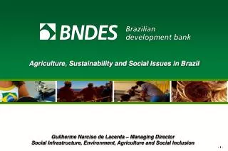 Agriculture , Sustainability and Social Issues in Brazil