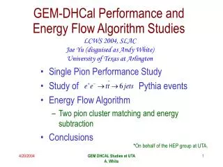 GEM-DHCal Performance and Energy Flow Algorithm Studies