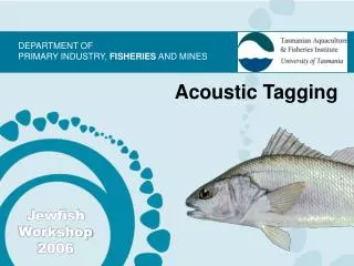 Acoustic Tagging