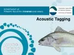 Acoustic Tagging - slide 1