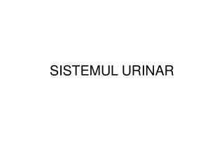 sistemul ur inar