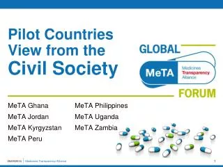 Pilot Countries View from the Civil Society