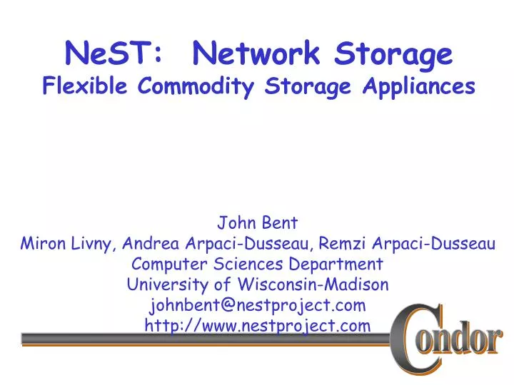 nest network storage flexible commodity storage appliances