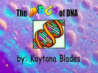 The of DNA