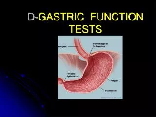 D- GASTRIC FUNCTION TESTS
