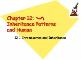 Chapter 12: Inheritance Patterns and Human