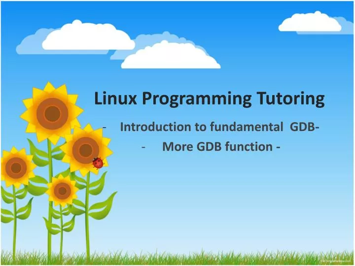 linux programming tutoring