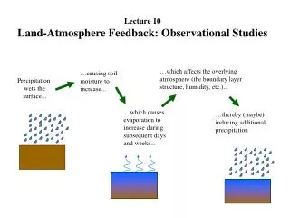 Precipitation wets the surface...