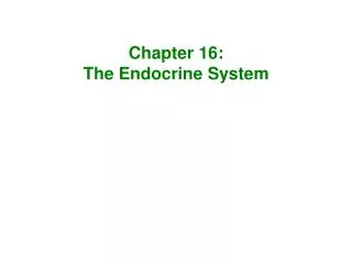 Chapter 16: The Endocrine System