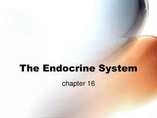 the endocrine system