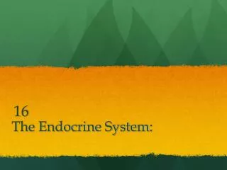 The Endocrine System: