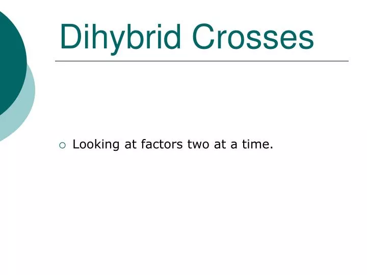 dihybrid crosses