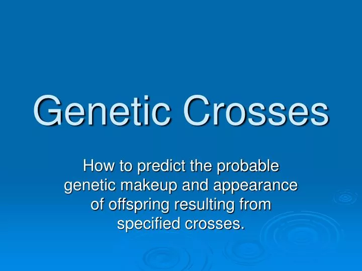 genetic crosses