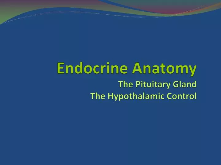 endocrine anatomy the pituitary gland the hypothalamic control