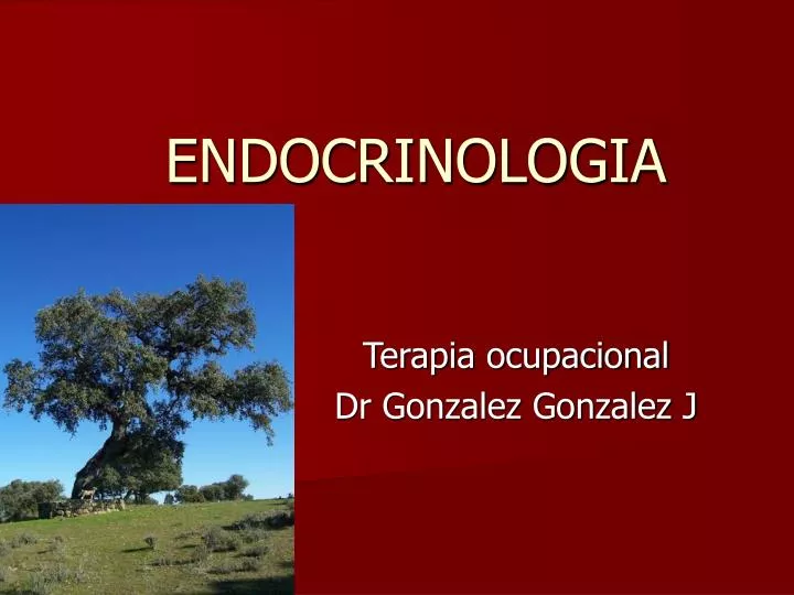 endocrinologia