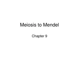 Meiosis to Mendel