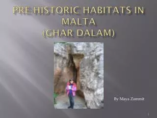 Pre-Historic Habitats in Malta ( Ghar Dalam )