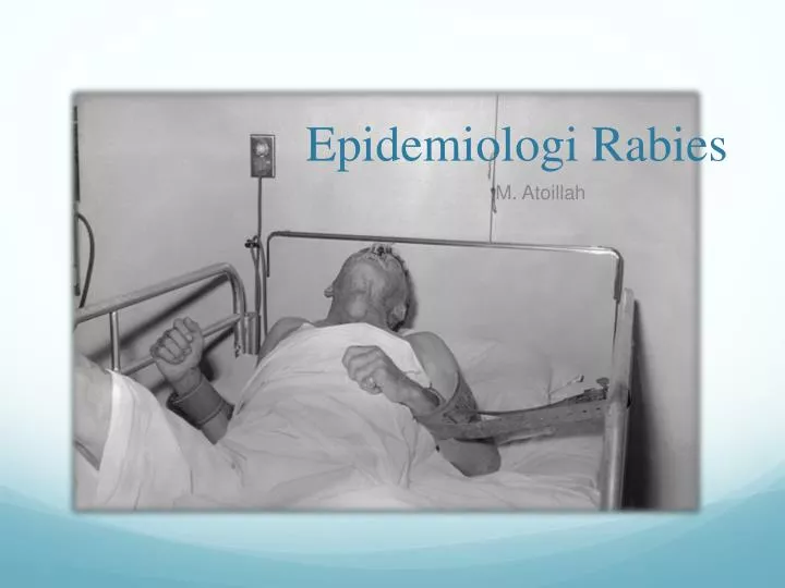 epidemiologi rabies