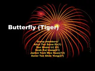 Butterfly (Tiger)