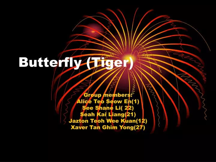 butterfly tiger