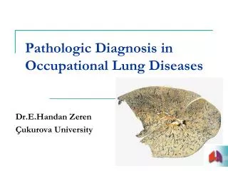 Pathologic Diagnosis in Occupational Lung Diseases