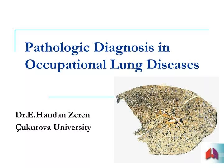 pathologic diagnosis in occupational lung diseases