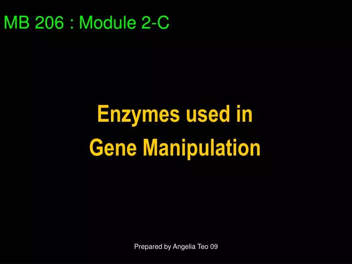 mb 206 module 2 c