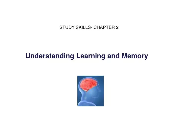 understanding learning and memory