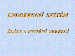 endokrinn syst m