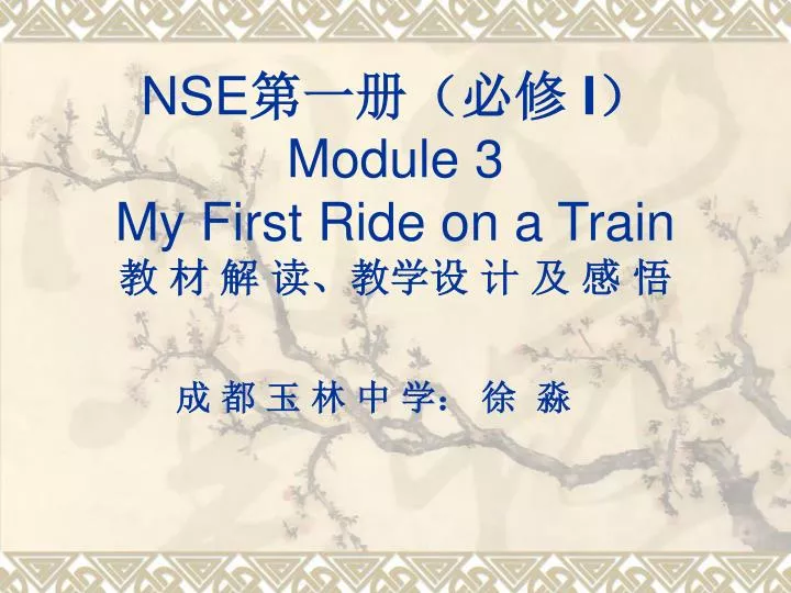 nse i module 3 my first ride on a train
