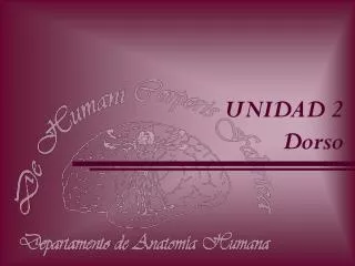 unidad 2 dorso
