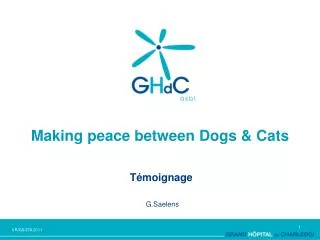 making peace between dogs cats