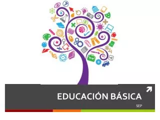 educaci n b sica
