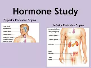 Hormone Study