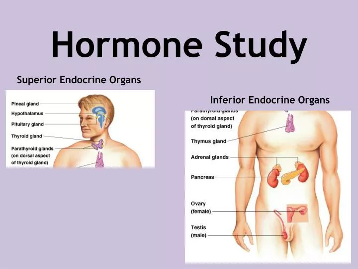 hormone study