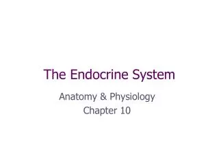 The Endocrine System