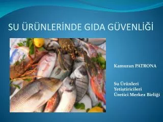 su r nler nde gida g venl