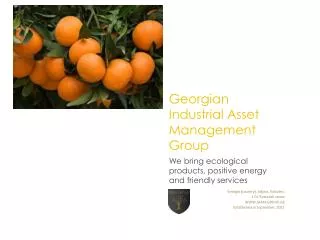 Georgian Industrial Asset Management Group