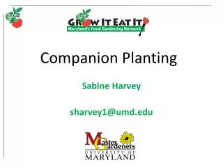 Companion Planting