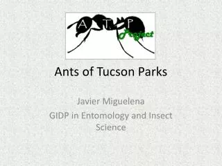 Ants of Tucson Parks